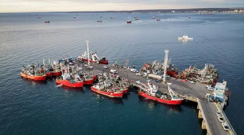 Puerto Madryn y Puerto Deseado lideran el crecimiento de descargas pesqueras en el inicio de la temporada